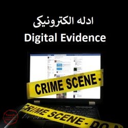 ادله الکترونیکی و شواهد دیجیتال, جرم سایبری