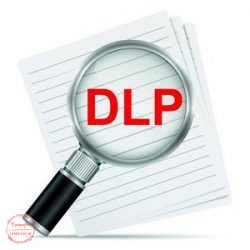 سامانه DLP, جلوگیری از نشت اطلاعات