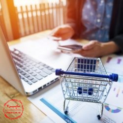 حقوق تجارت الکترونیک, فروشگاه آنلاین و خرید اینترنتی