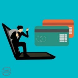 سرقت اطلاعات کارت اعتباری, جرایم مالی در فضای مجازی