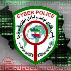 پلیس فتا, پیگیری پرونده جرایم اینترنتی, پلیس سایبری
