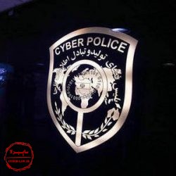 پلیس سایبری فتا, پیگیری پرونده جرایم اینترنتی