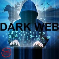 وب تاریک, دارک وب Dark Web